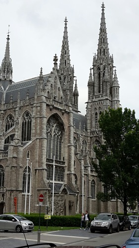 Zonnebloem afdeling