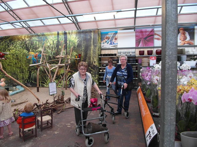 Zonnebloem afdeling