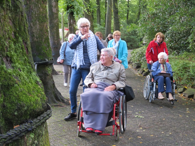 Zonnebloem afdeling