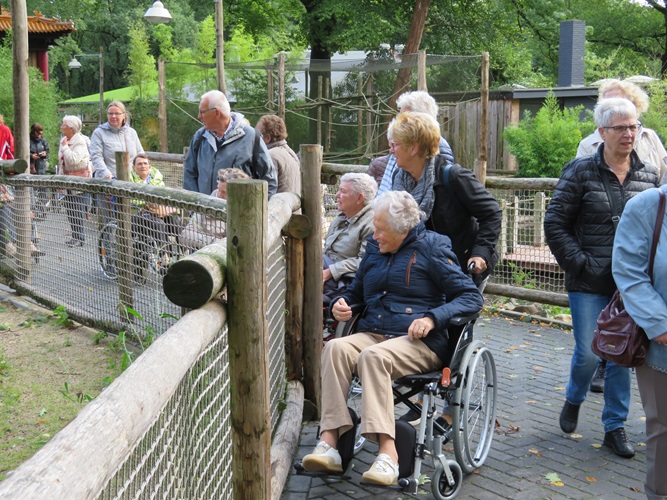 Zonnebloem afdeling