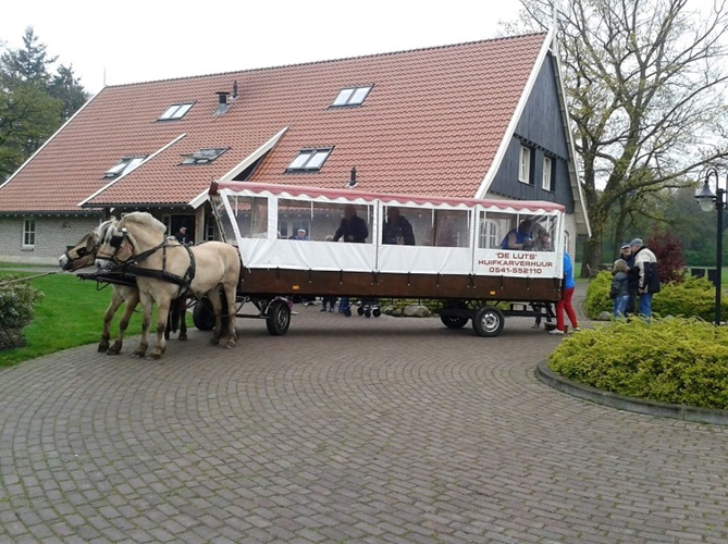 Zonnebloem afdeling