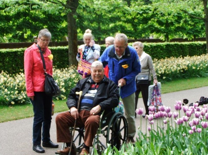 Zonnebloem afdeling