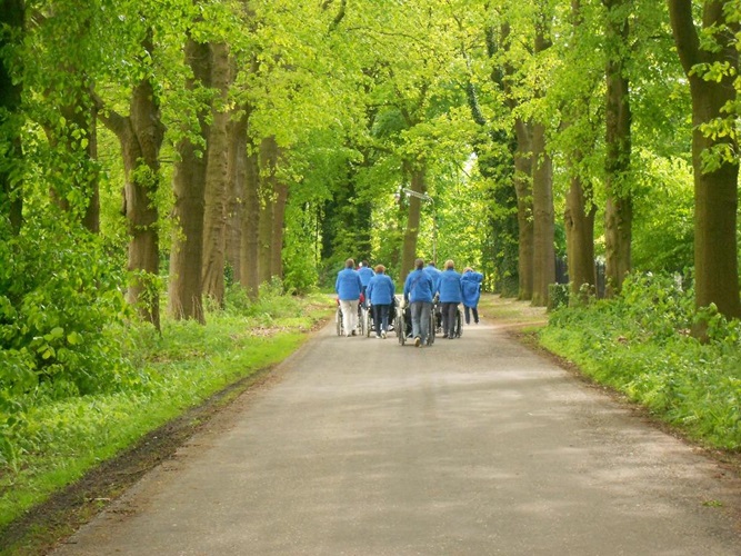 Zonnebloem afdeling