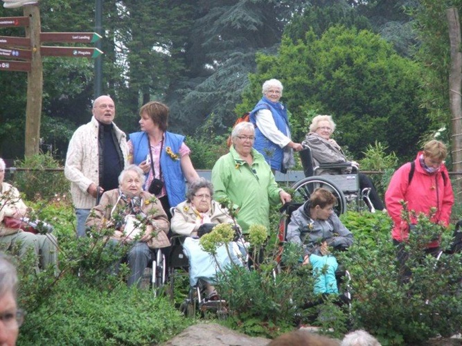 Zonnebloem afdeling