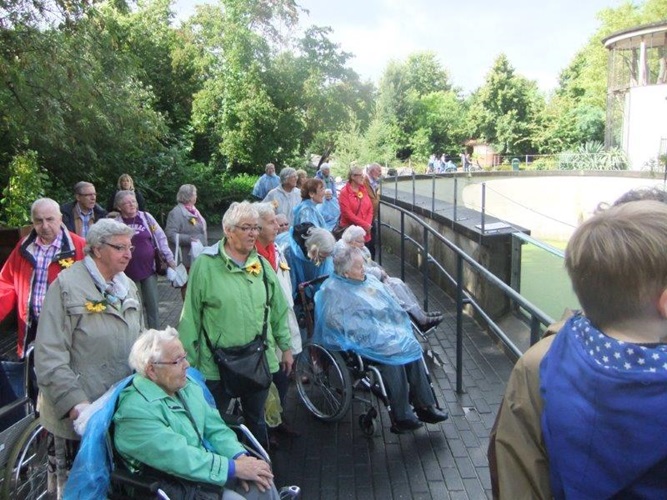 Zonnebloem afdeling