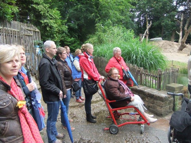 Zonnebloem afdeling