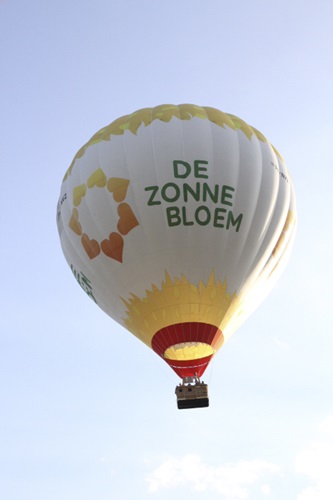 Zonnebloem afdeling