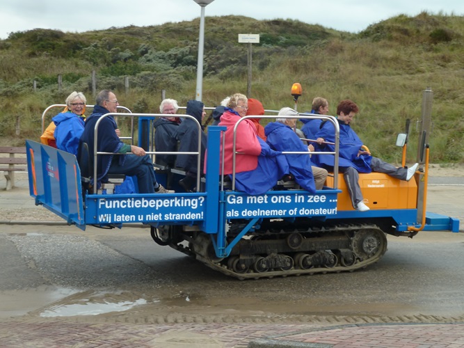 Zonnebloem afdeling