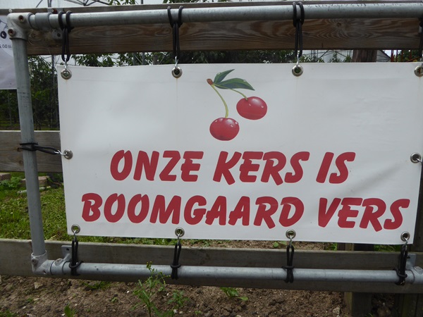 Zonnebloem afdelingsnieuws