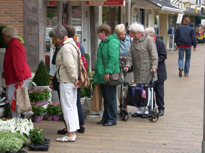 Zonnebloem afdeling