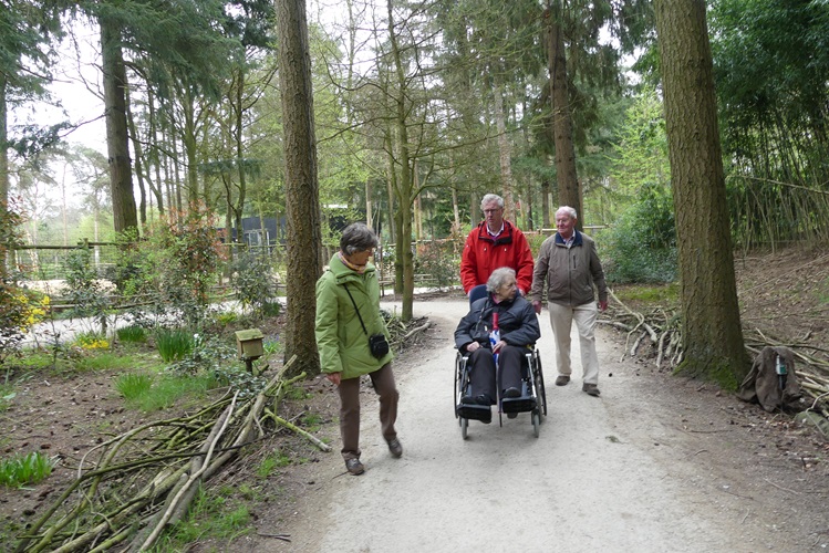 Zonnebloem afdeling