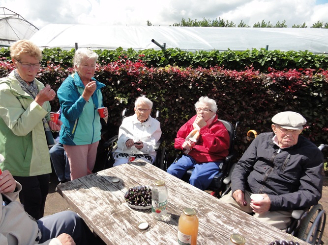 Zonnebloem afdeling