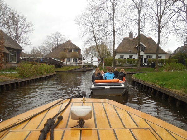 Zonnebloem afdeling