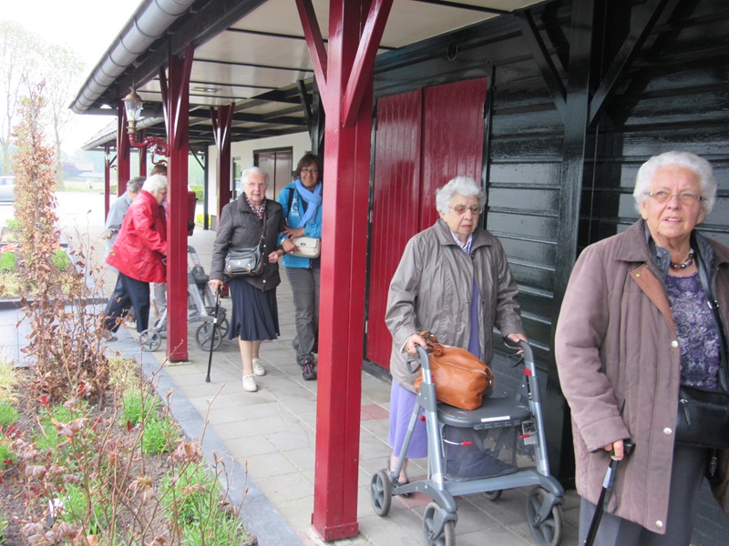 Zonnebloem afdeling