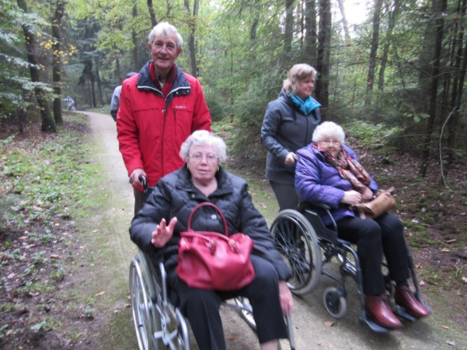 Zonnebloem afdeling