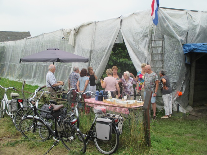 Zonnebloem afdeling