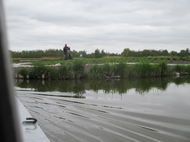 Zonnebloem afdeling