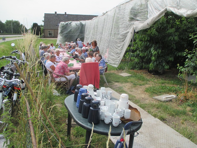 Zonnebloem afdeling