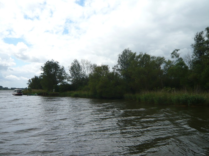 Zonnebloem afdeling