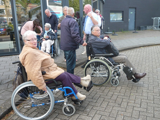 Zonnebloem afdeling