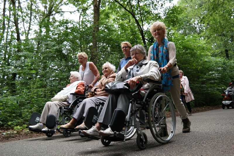 Zonnebloem afdeling