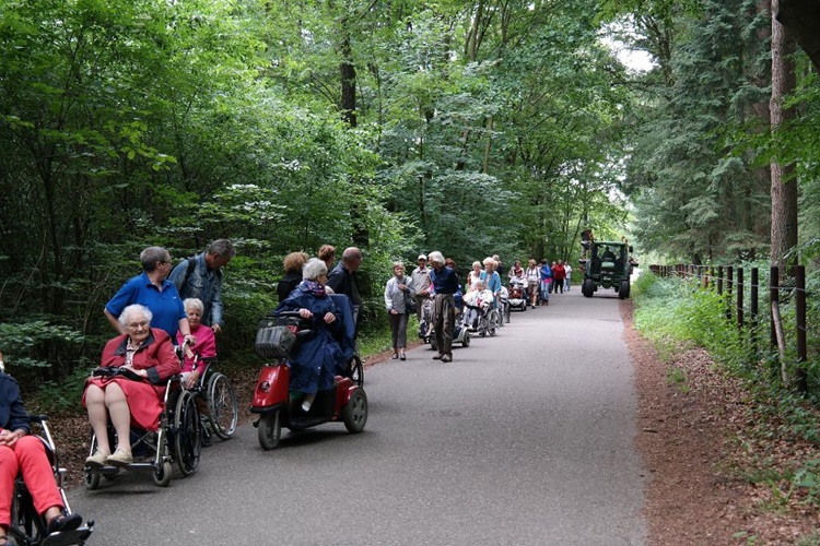 Zonnebloem afdeling