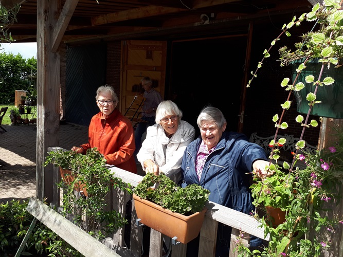 Zonnebloem afdeling