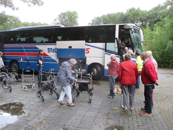 Zonnebloem afdeling