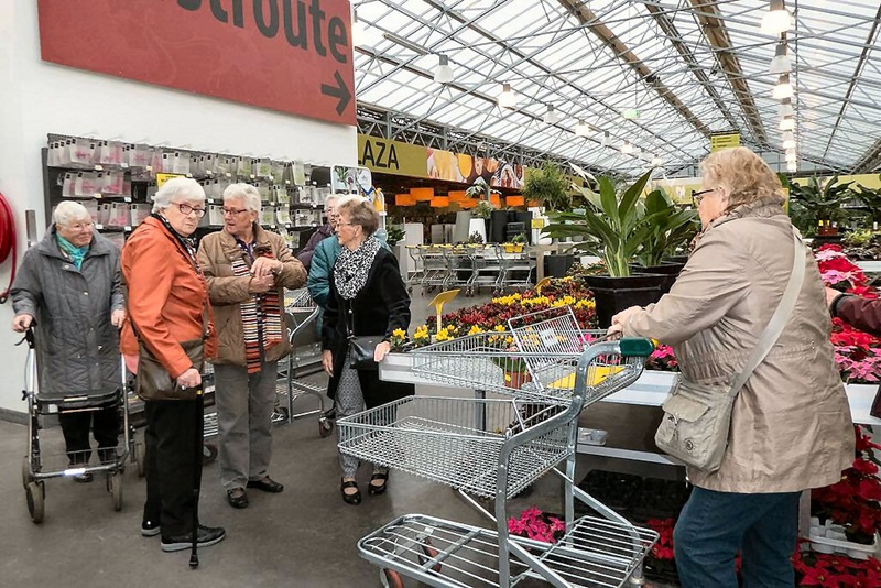 Zonnebloem afdeling