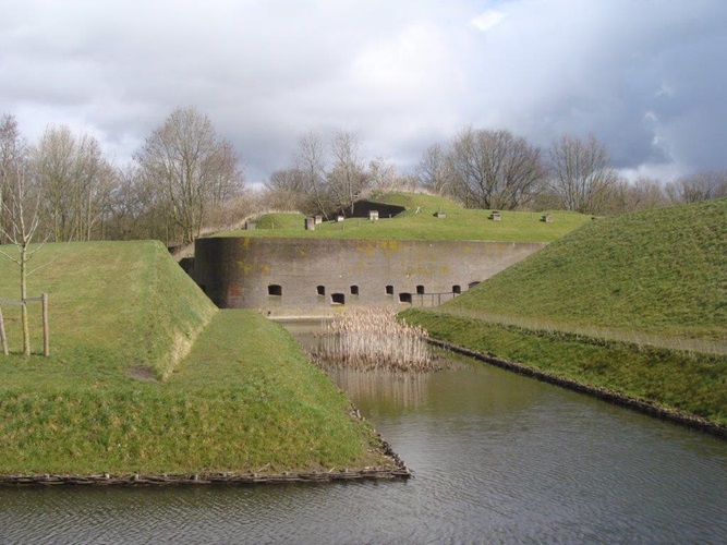 Zonnebloem afdeling