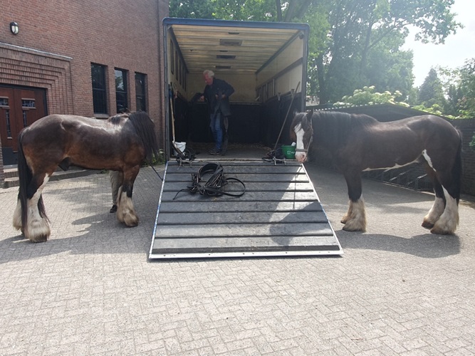 Het werk zit erop voor de paarden 