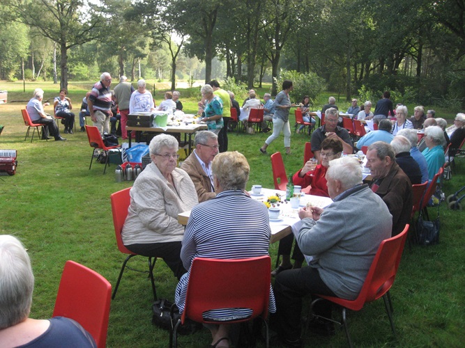 Zonnebloem afdeling