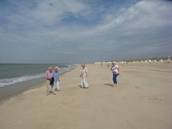 Zonnebloem afdeling