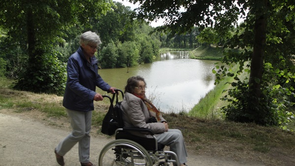 Zonnebloem afdeling