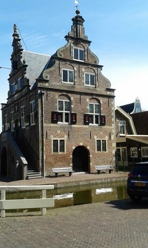 Zonnebloem afdeling