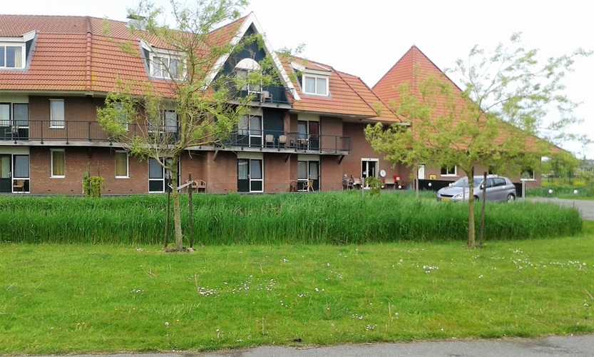 Zonnebloem afdeling