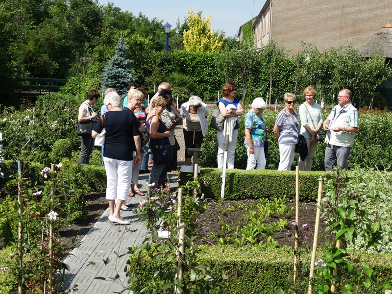 Zonnebloem afdeling