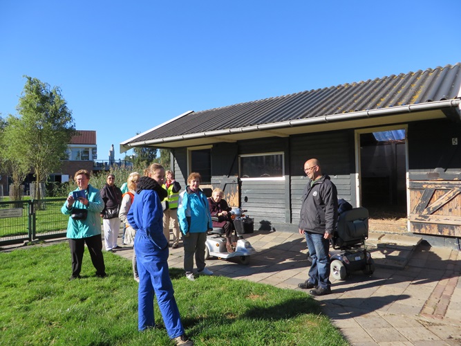 Zonnebloem afdeling