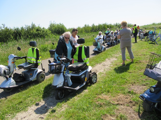 Zonnebloem afdeling