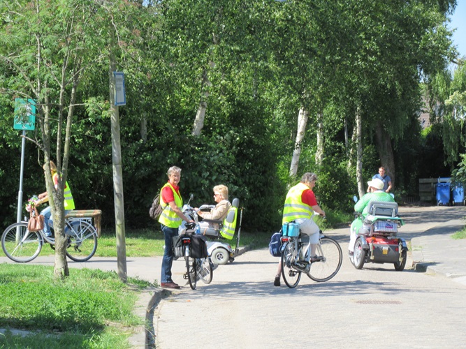 Zonnebloem afdeling