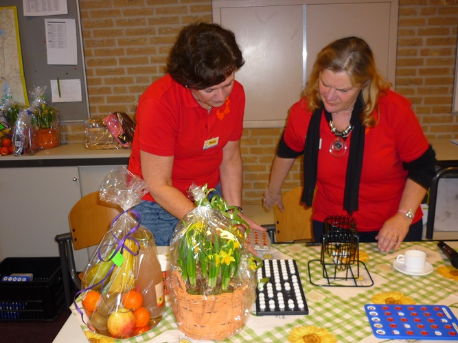 Zonnebloem afdeling