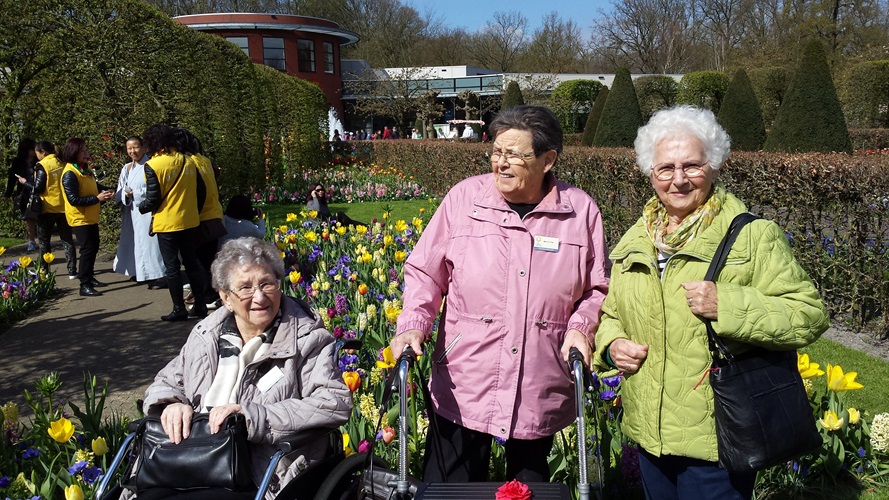 Zonnebloem afdeling