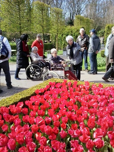 Zonnebloem afdeling