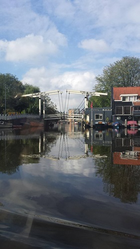 Zonnebloem afdeling