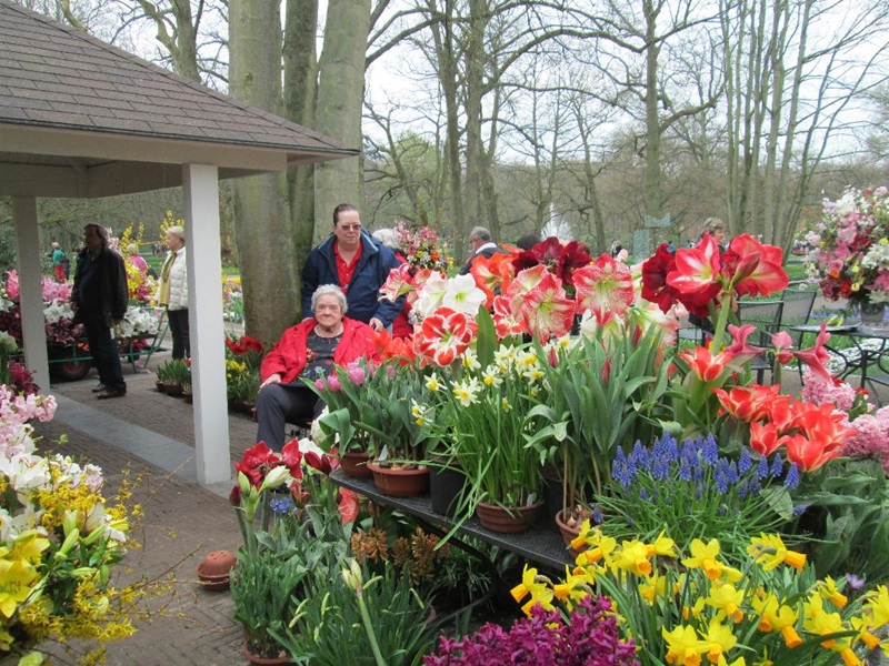 Zonnebloem afdeling