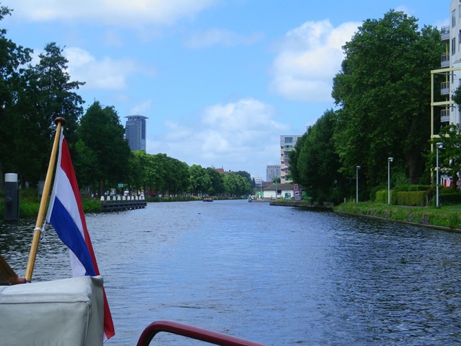 Zonnebloem afdeling