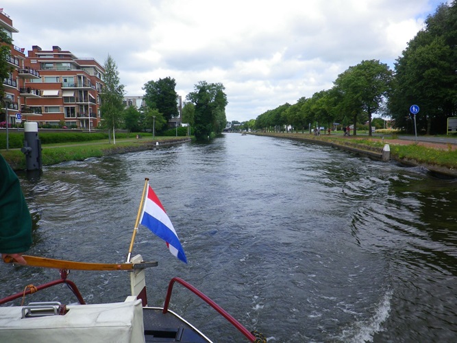 Zonnebloem afdeling