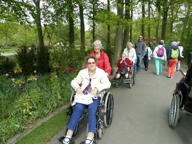 Zonnebloem afdeling