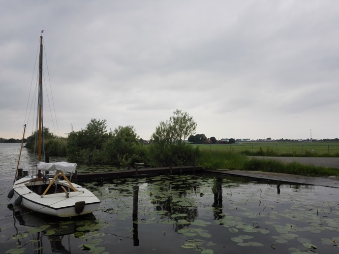 Zonnebloem afdeling