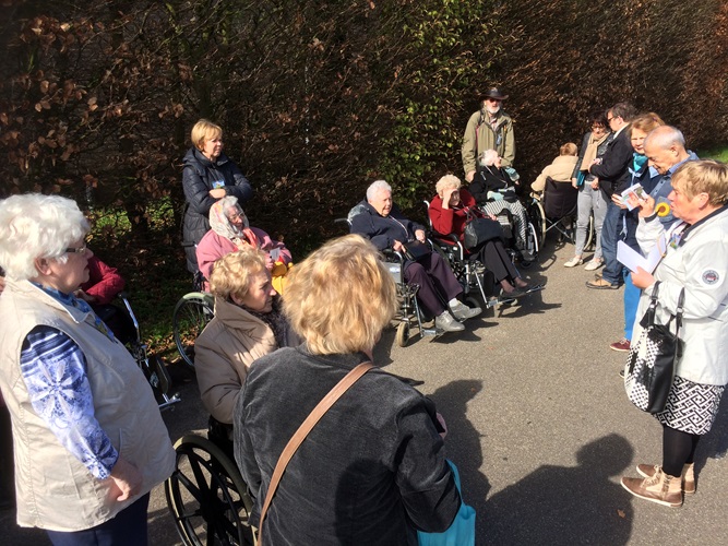 Zonnebloem afdeling